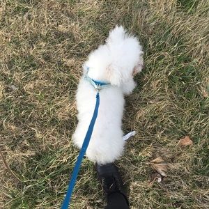 Meet your Posher, Eva